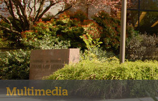 Multimedia