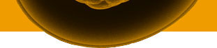 Image of an Embryo