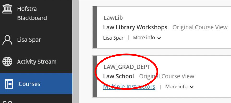 Screenshot of law school course page.