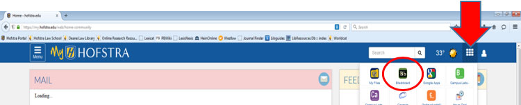 screenshot of the My Hofstra Portal applications menu