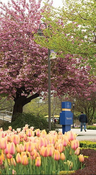 A View of the Flowers on Campus