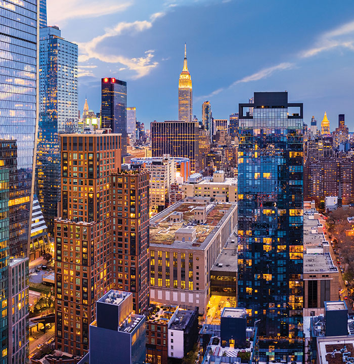 A View of the New York City Skyline