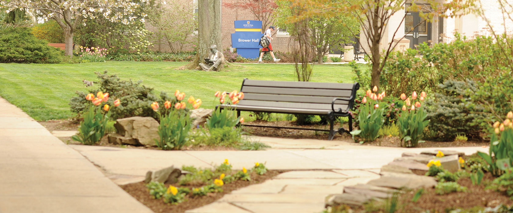 A view of a bench on the Hofstra Campus