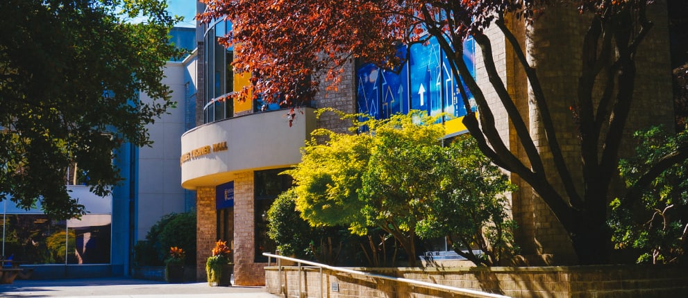 A sunlit entrance to a building with trees and shrubs, stone walls, and a curved metal handrail; large blue and yellow signs and windows are visible in the background.