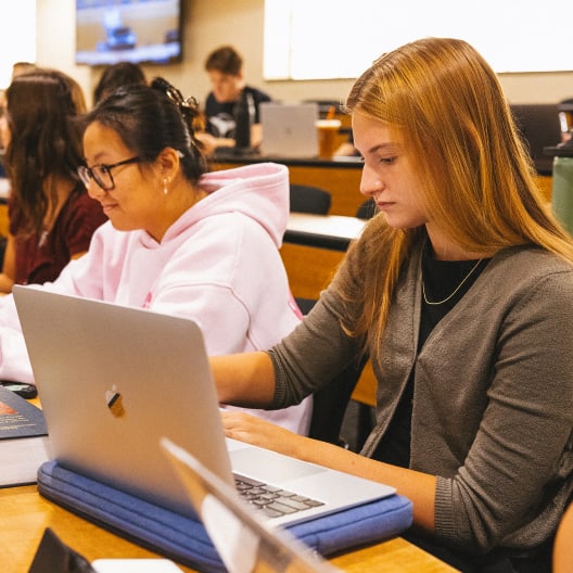 Two students sit at desks in a classroom, focused on their laptops. One wears a pink hoodie and glasses, the other has long hair and a gray cardigan. Other students and classroom items are visible in the background.