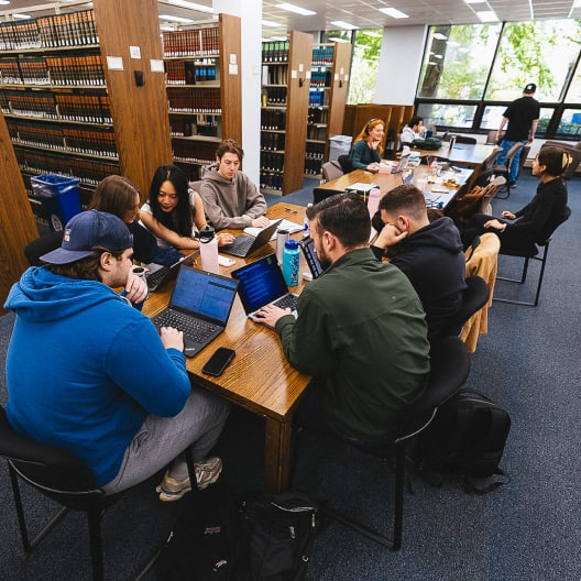 Students sit at tables in a library, working on laptops and studying together. Bookshelves line the walls, and large windows let in natural light. The atmosphere is focused and collaborative.