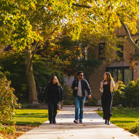 Three people walk and chat on a sunlit campus path surrounded by trees and greenery, with a brick building in the background and autumn leaves overhead.